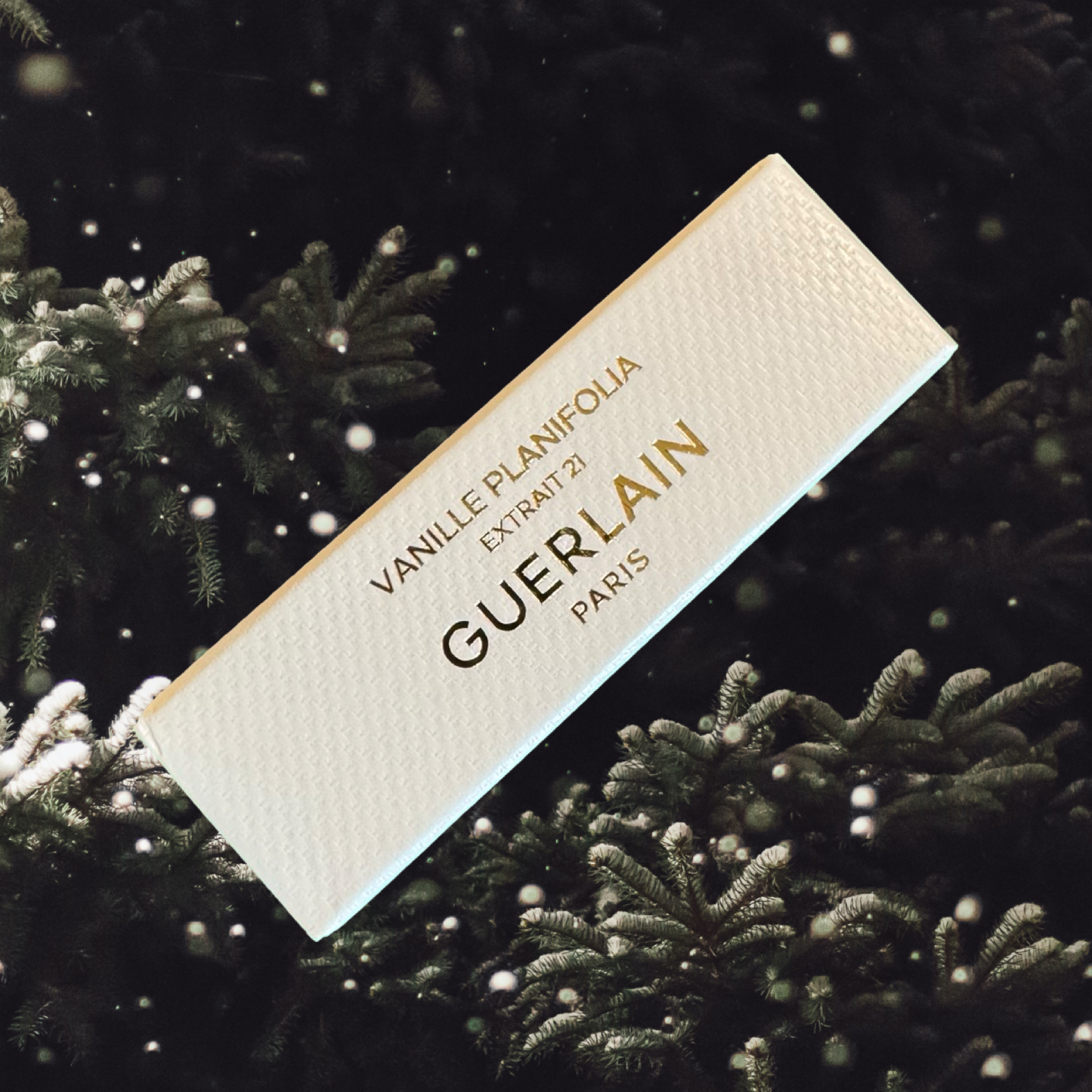 Vanille Planifolia Extrait 21 2 ml