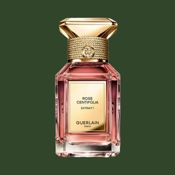 Rose Centifolia Extrait 1