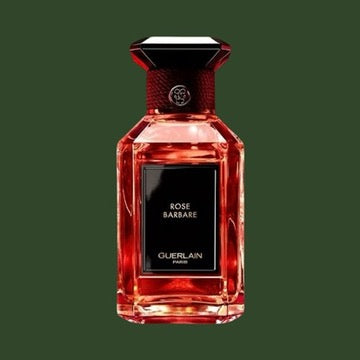Rose Barbare