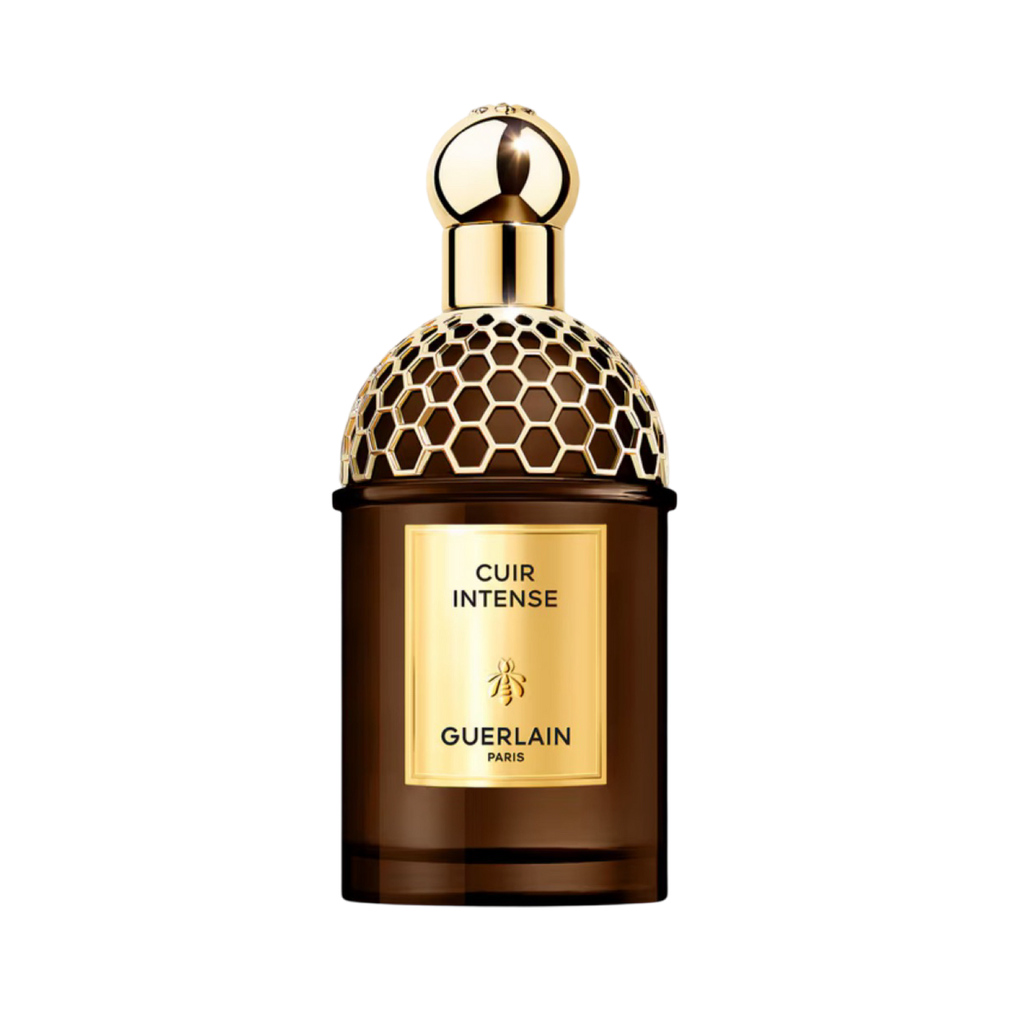 Cuir Intense